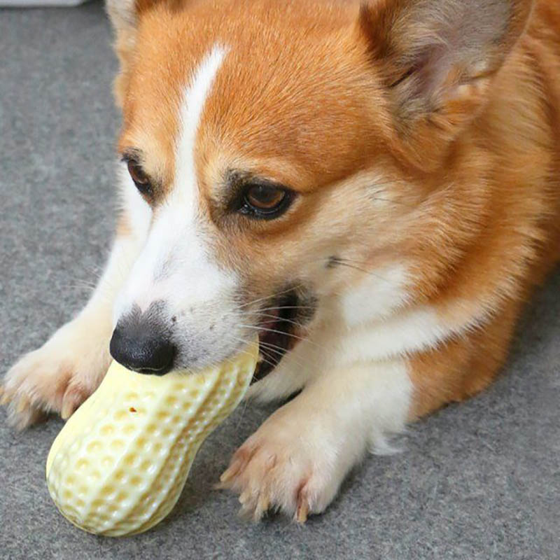 Funny Pet Dog Squeaky Toys For Small Middle Dogs Bite Resistant Puppy Cat Dogs Toys Pets Rubber Peanut Clean Tooth Chew Toy - 5 - CJ
