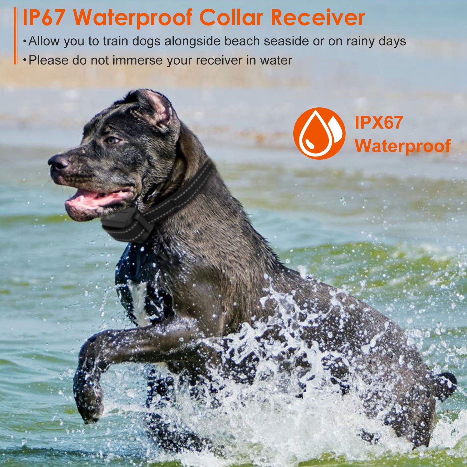 Train Collar OR Receiver Only Options - 3280FT Dog Training Collar IP67 Waterproof Pet Beep Vibration Electric Shock Collar 3 Channels Rechargeable Transmitter Receiver Trainer With Flashlight - 5 - CJ