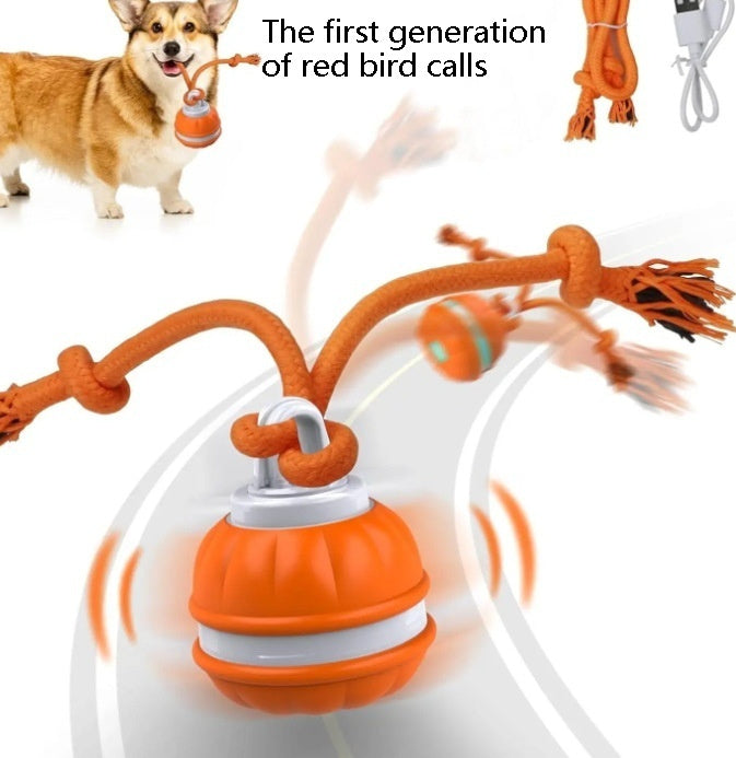 Pet Ball For Dogs Interactive Toys Motion Activate Rolling Ball For Puppy Small Dogs Automatic Moving Toy USB Rechargeable Toy Pet Products - 0 - CJ