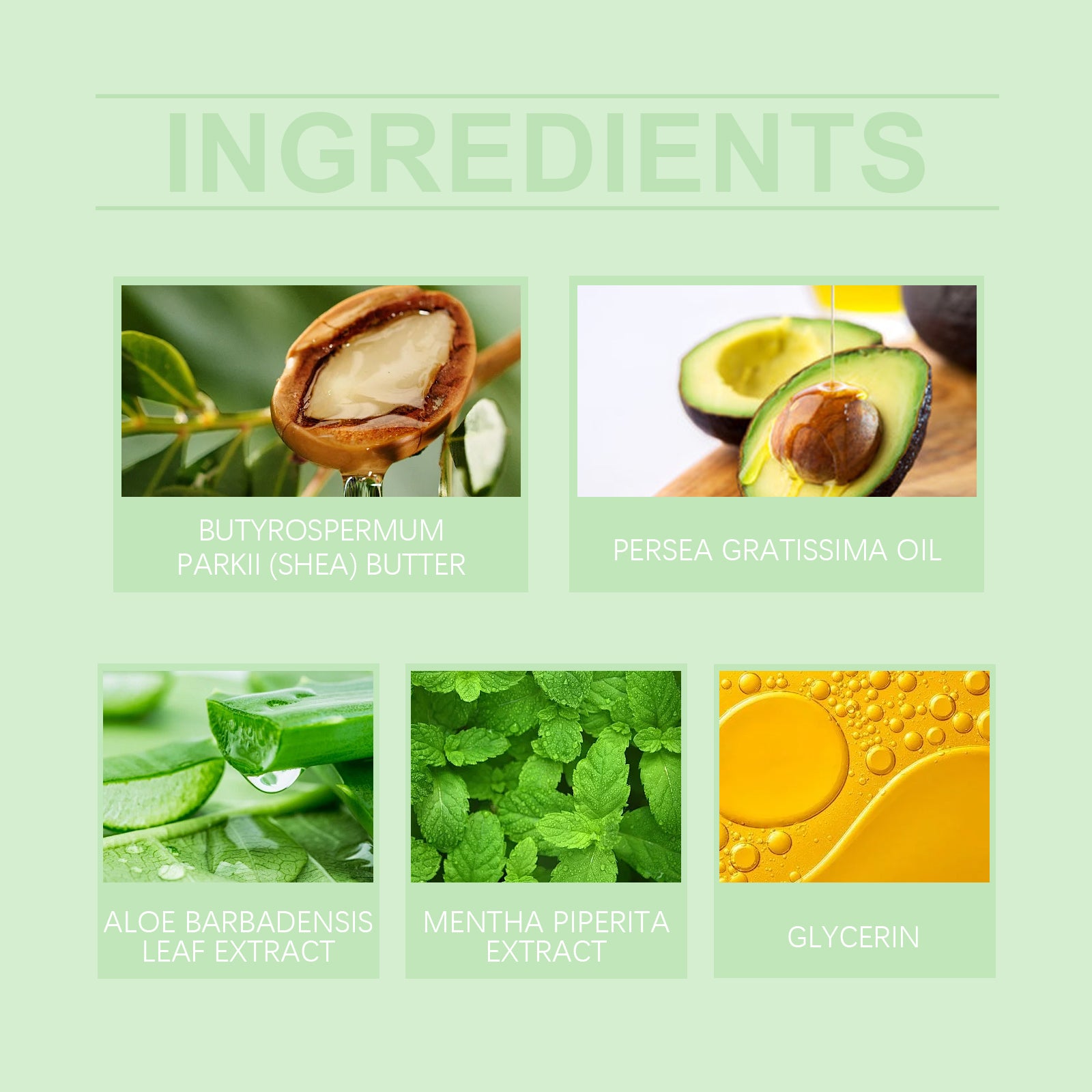 OceAura Avocado Exfoliating Body Lotion Hydrates And Moisturizes All Over The Skin - 5 - CJ