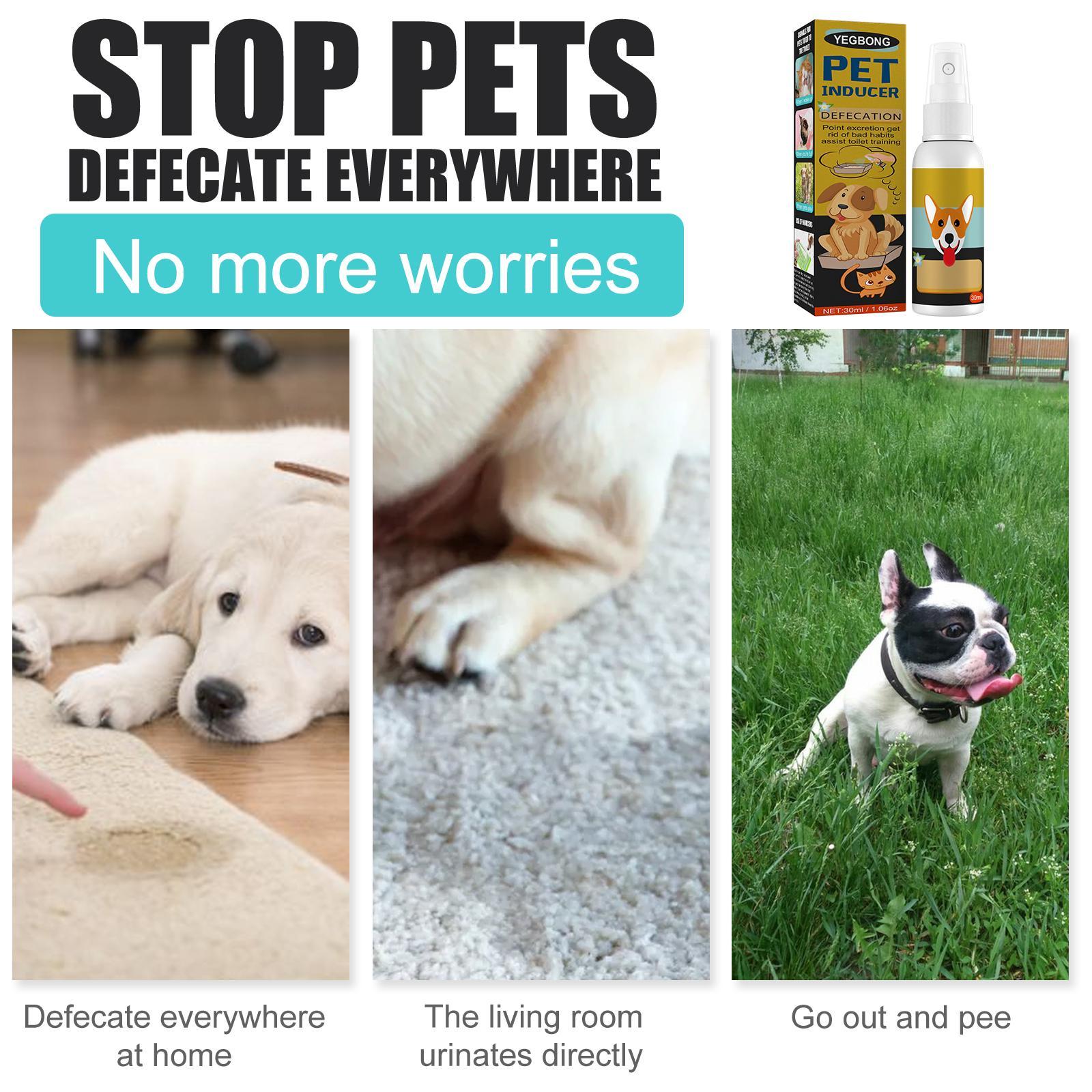 Yegebang Pet Defecation Positioning Spray Pet Feces Positioning Pet Cat And Dog Defecation Inducer - 5 - CJ