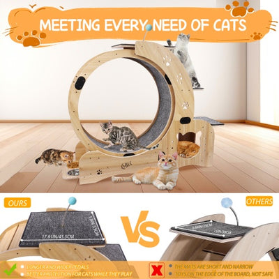 Cat Wheel 6 - in - 1 Cat Fitness Wheel - 5 - CJ