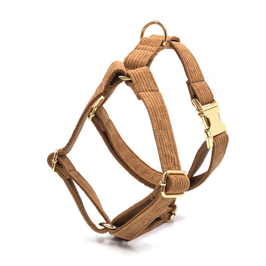 Pet Collar Traction Rope Bow Garbage Pack Chest And Back Five - piece Set - 0 - CJ