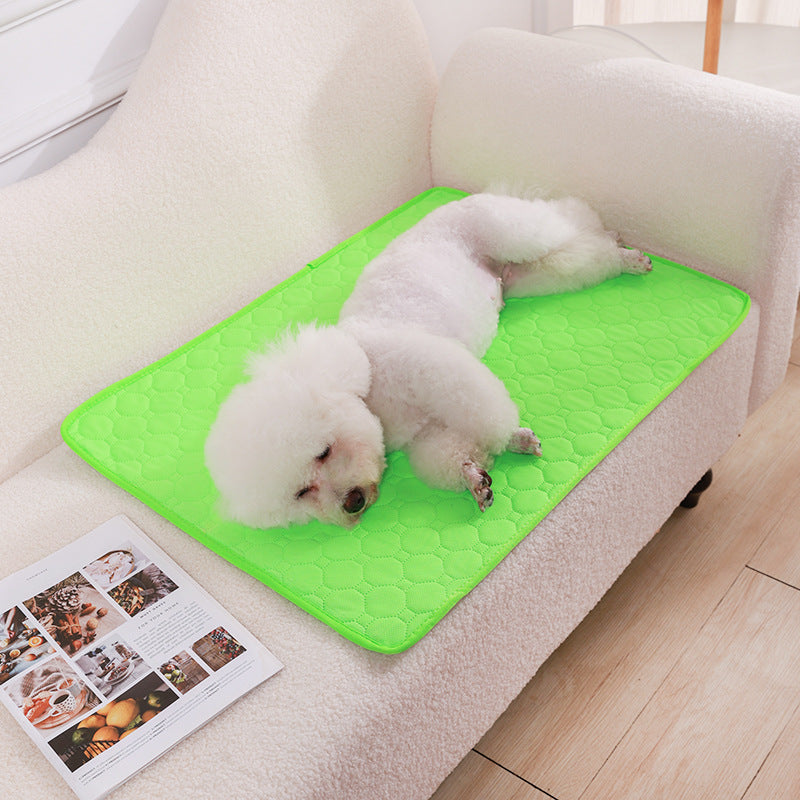 Urinal Pad For Pet Washable Dog Diapers Non - slip Absorbent Easy To Dry - 0 - CJ - Green - XXS - CJYD227418724XC