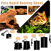 Pet Reptile Terrarium - Heizkissen - Heizmatte Mit Thermostatregler EU - Stecker - 5 - cjdroshippping