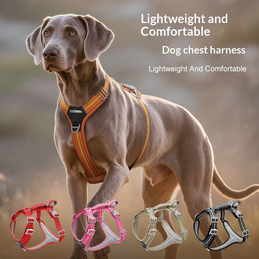 Outdoor Reflective Wear - Resistant Pet Harness - 0 - CJ