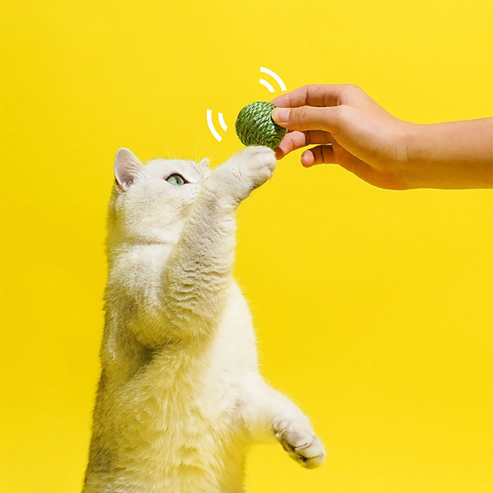 3PCS Cat Toy Balls, Interactive Pet Play Balls Sisal Rope Scratching Chew Ball Toy With Rustling Sound Pea Pod Storage For Indoor Kitten Training Hunting - 5 - CJ