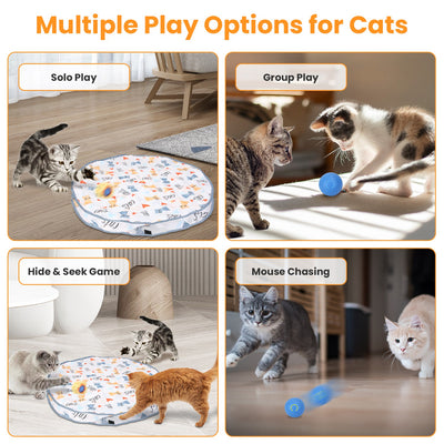 1Pc Cat Toys Ball Fast Rolling In Pouch Rechargeable Motion Activated Interactive Cat Toys For Indoor Cats Hide And Seek Mouse Catching Game - 5 - CJ
