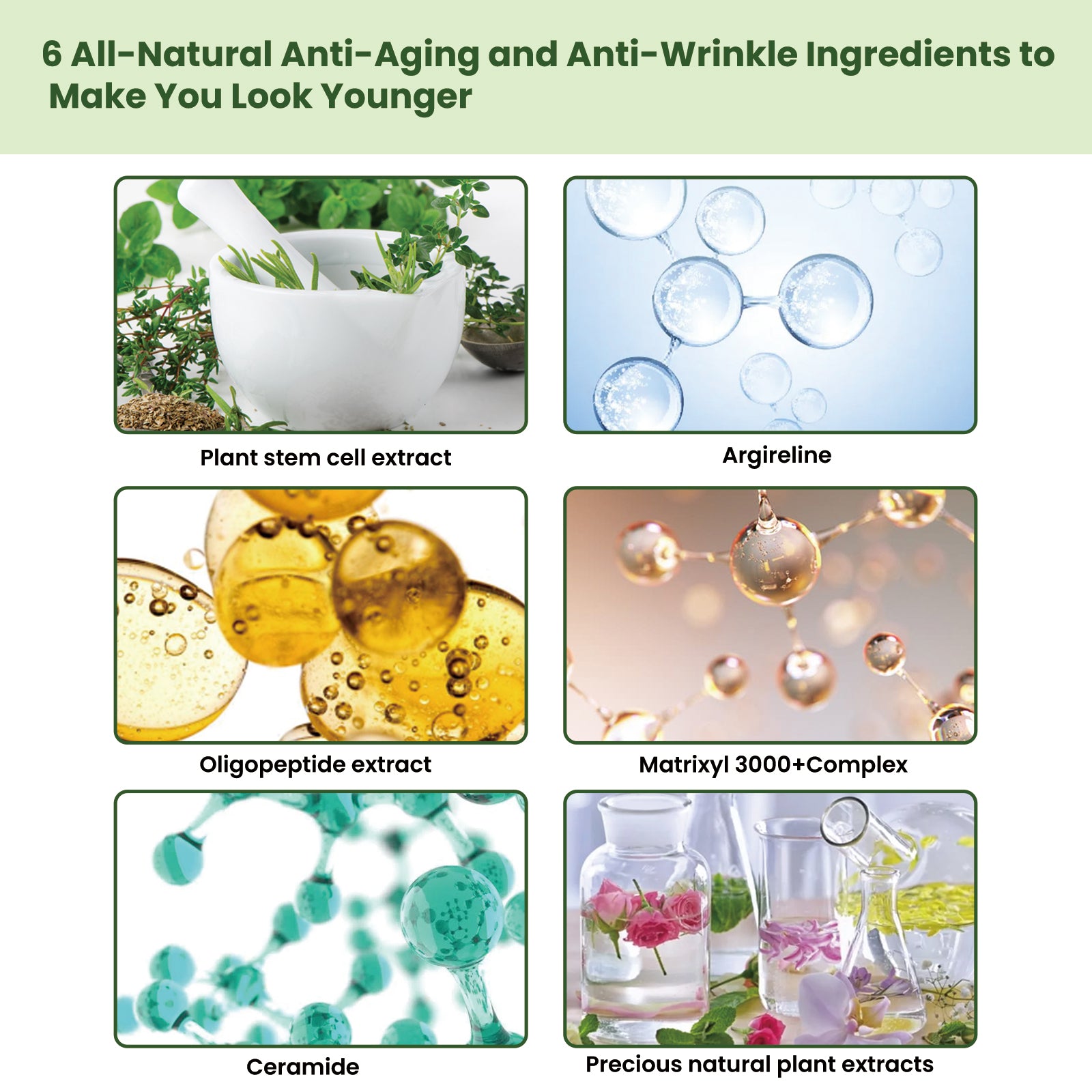 EELHOE Ceramide Firming Essence For Deep Curing, Moisturizing, Firming And Smoothing Wrinkles - 5 - CJ
