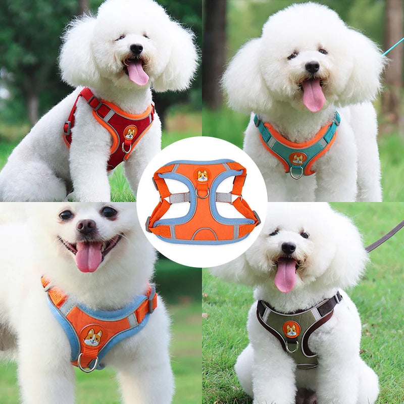 New Dog Leash And Harness Set Pet Dog Harness And Leash Set Adjustable Puppy Cat Harness Vest Reflective Walking No Pull Lead Leash For Small Dogs Chihuahua - 5 - CJ