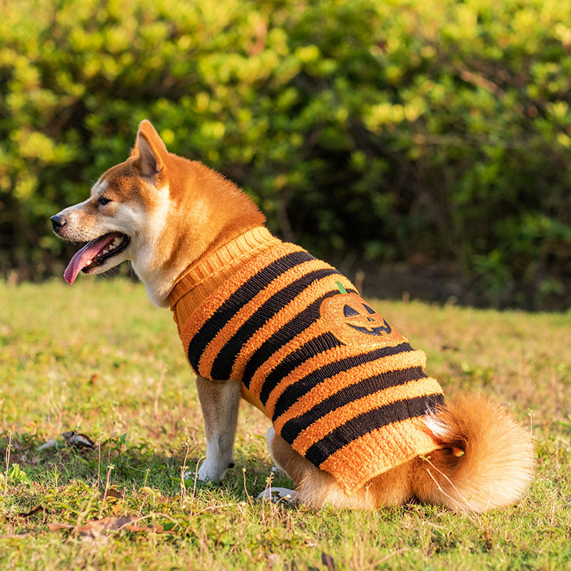 Halloween Dog Sweaters Pet Costume Teddy Warm Leisure Sweater Cosplay Clothes For Dogs Pets Outfits - 0 - CJ
