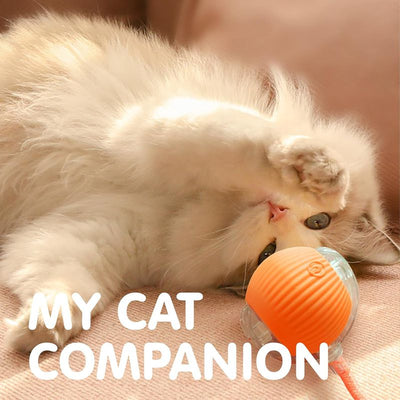 Cat Interactive Ball Toys Automatic Rolling Ball For Kitten Rechargeable Smart Pet Electric Toys With Teaser Sensor Cat Ball Toy - 4 - CJ