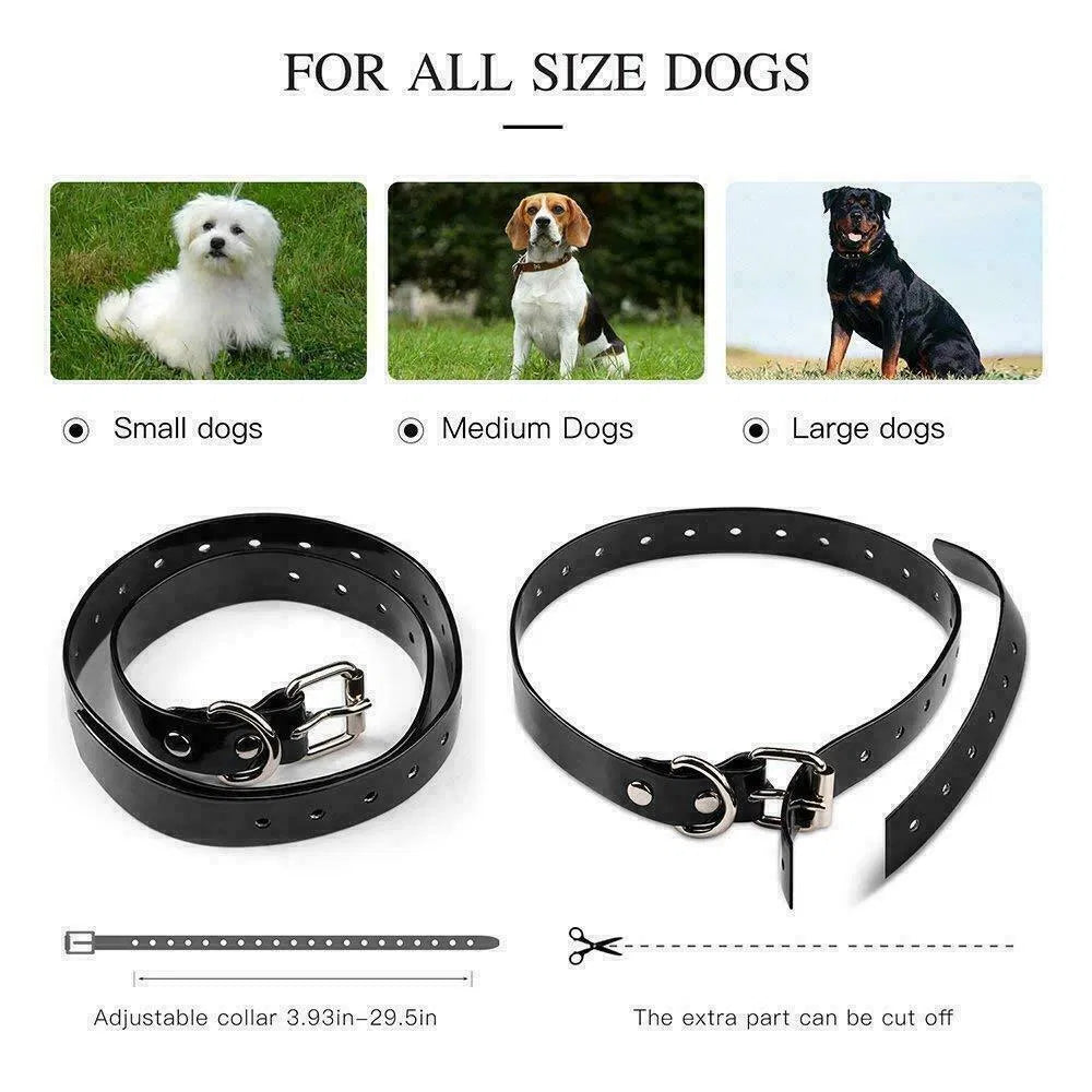 3000 FT Dog Training US Collar Rechargeable Remote Shock PET Waterproof Trainer - 5 - CJ