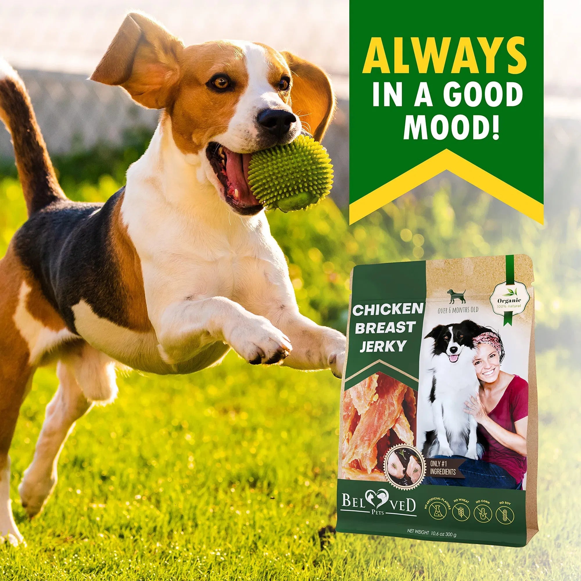Chicken Jerky Dog Treats All Natural And Organic Healthy Snacks For Large & Small Dogs Grain Free And High Protein Human Grade Pet Chews 300 Gram - 5 - CJ