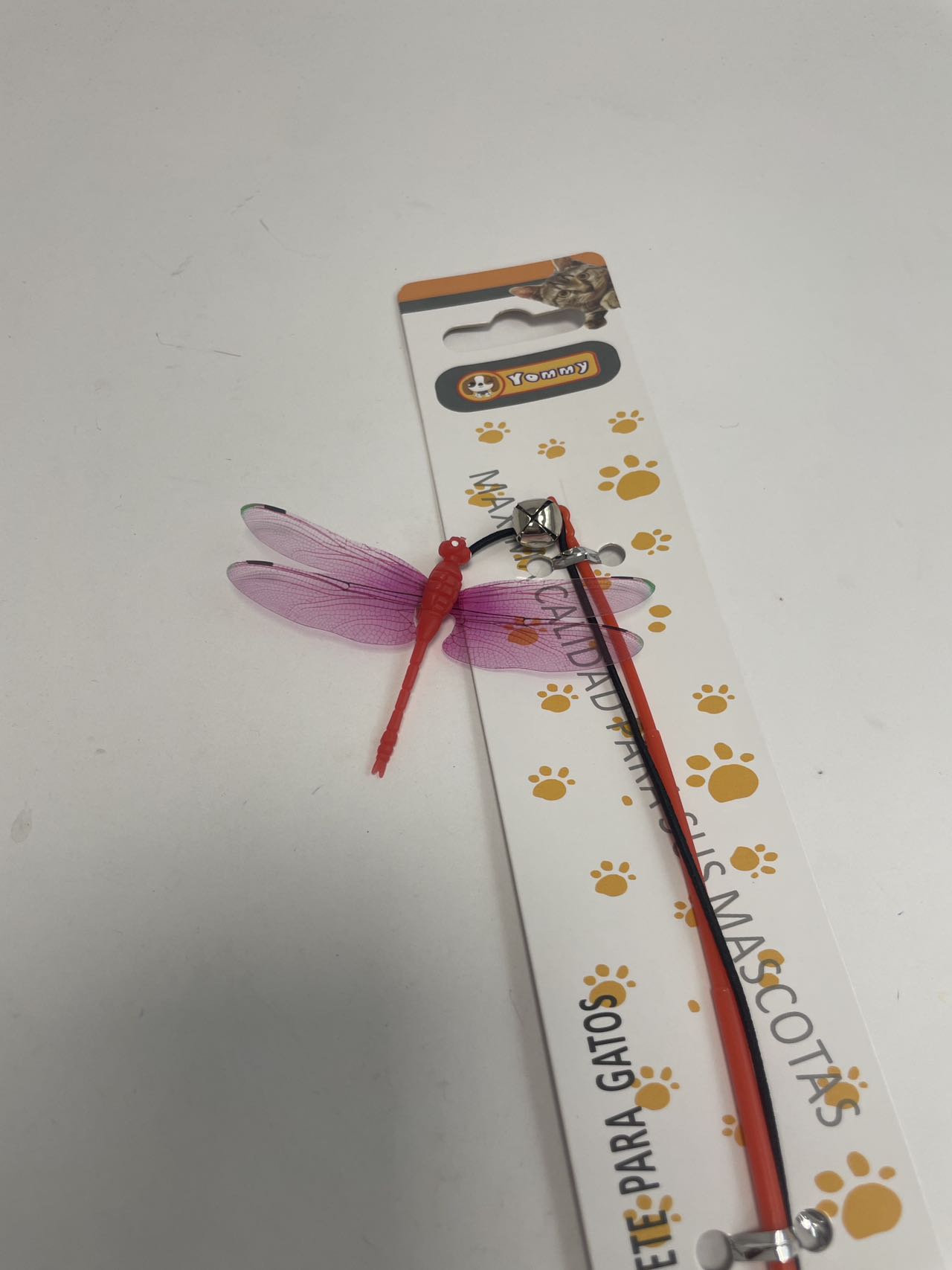 Small Dragonfly Cat Teaser - 5 - CJ