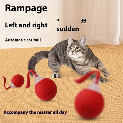 Interactive Cat Toy Ball Super Drive Cat Rolling Ball - 0 - CJ