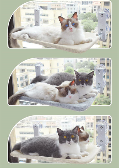 Cat Suction Cup Window Glass Hammock Pet Cat Pets Products - 0 - CJ