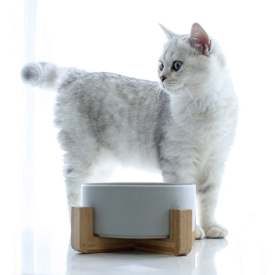 Solid Color Minimalist Home Use Ceramic Cat Food Feed Bowl - 0 - CJ