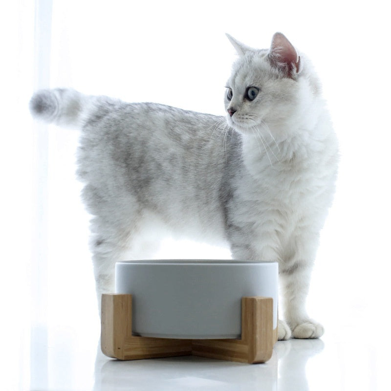 Solid Color Minimalist Home Use Ceramic Cat Food Feed Bowl - 0 - CJ