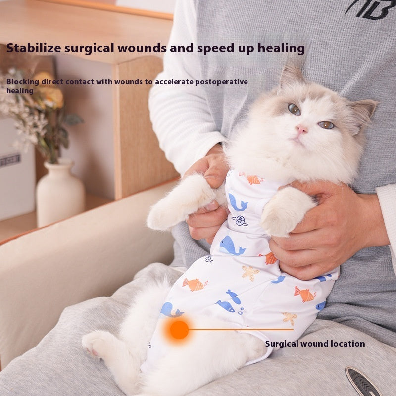 Cat Sterilization Clothing Post - operation Printing Series Four Seasons - 0 - CJ