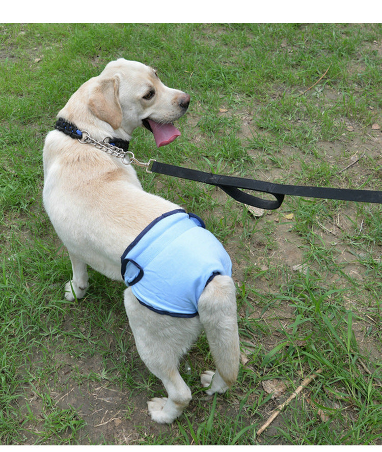 Pet Dog Simple Velcro Physiological Pants - 0 - CJ