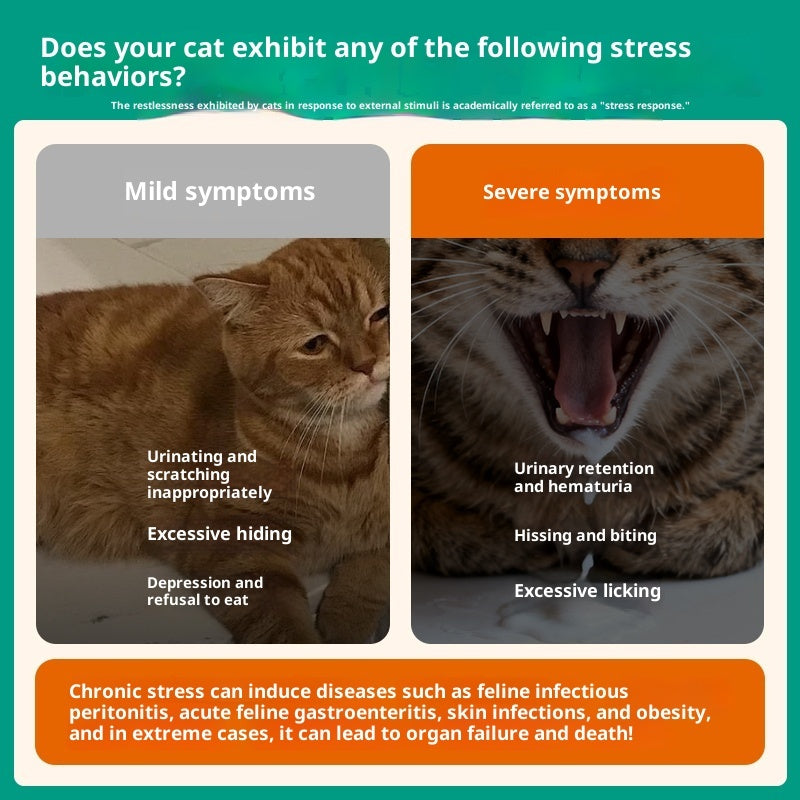 Cat Anti - stress Soothing And Calming Pheromone For Outings - 0 - CJ