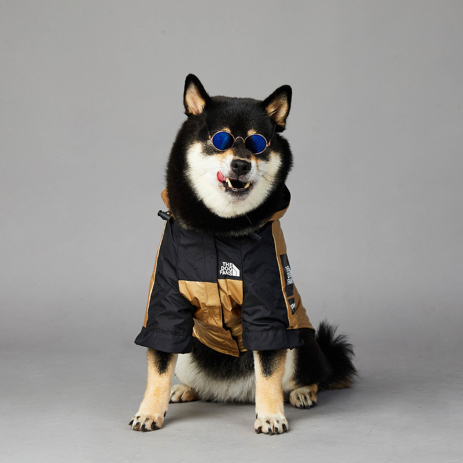 Dog Large Dog Raincoat Pet Jacket - 0 - CJ