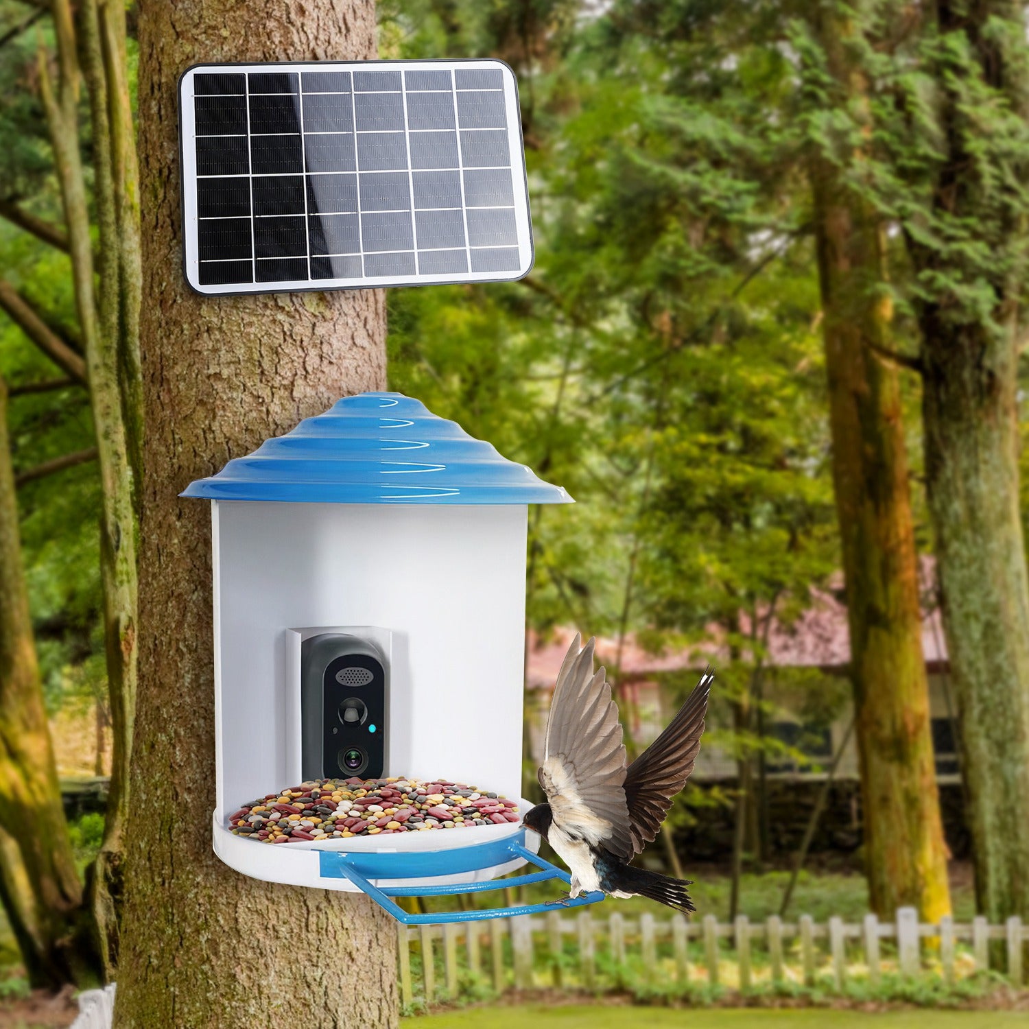 Smart Bird Feeder With Solar Powered Camera 1080P HD AI Identify PIR Motion Auto Capture Video Cloud Card Storage WiFi Connection App Control IP65 Waterproof - 5 - CJ