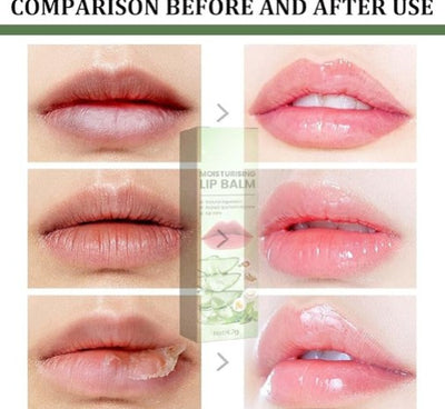 Eelhoe Moisturizing Lip Balm - 5.0 - CJ