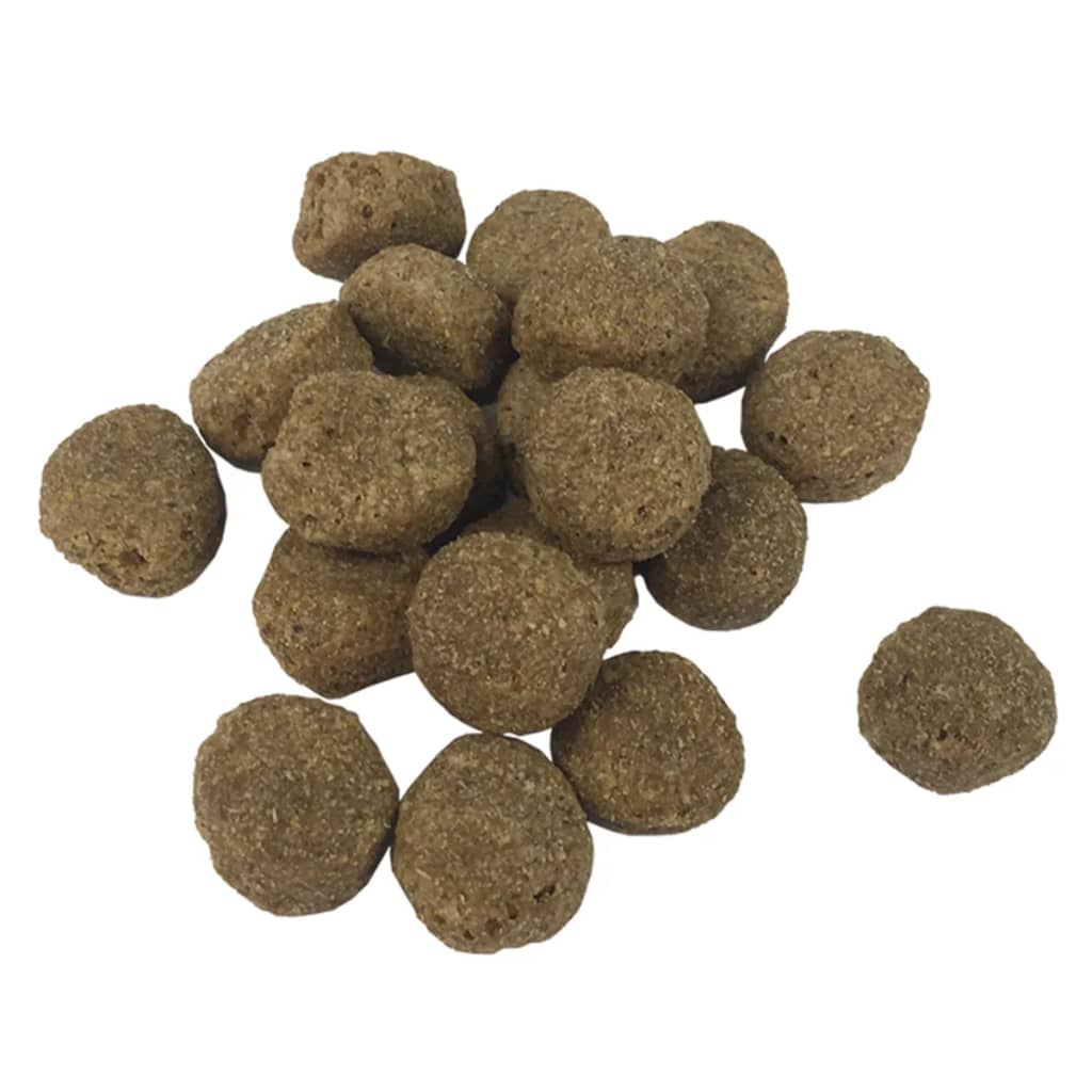 Dry Dog Food Adult Essence Beef - 5 - CJ