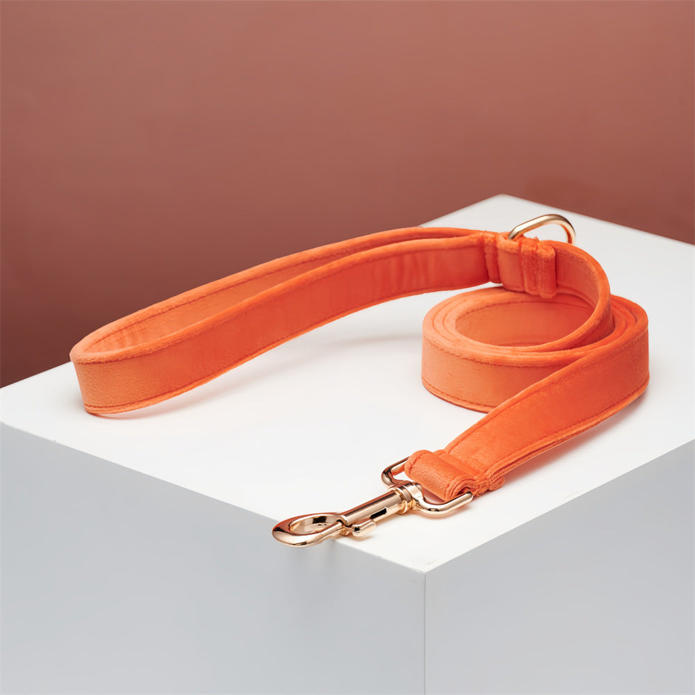 Dog Outdoor Leash High - density Nylon - 0 - CJ