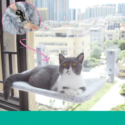 Cat Suction Cup Window Glass Hammock Pet Cat Pets Products - 0 - CJ