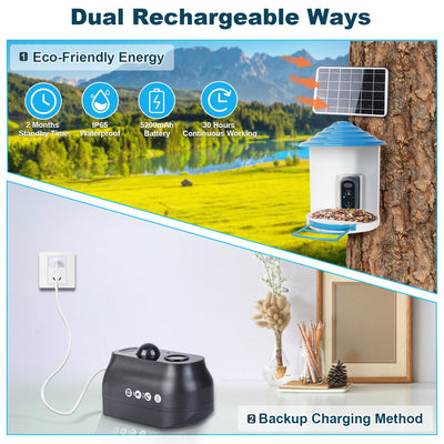Smart Bird Feeder With Solar Powered Camera 1080P HD AI Identify PIR Motion Auto Capture Video Cloud Card Storage WiFi Connection App Control IP65 Waterproof - 5 - CJ