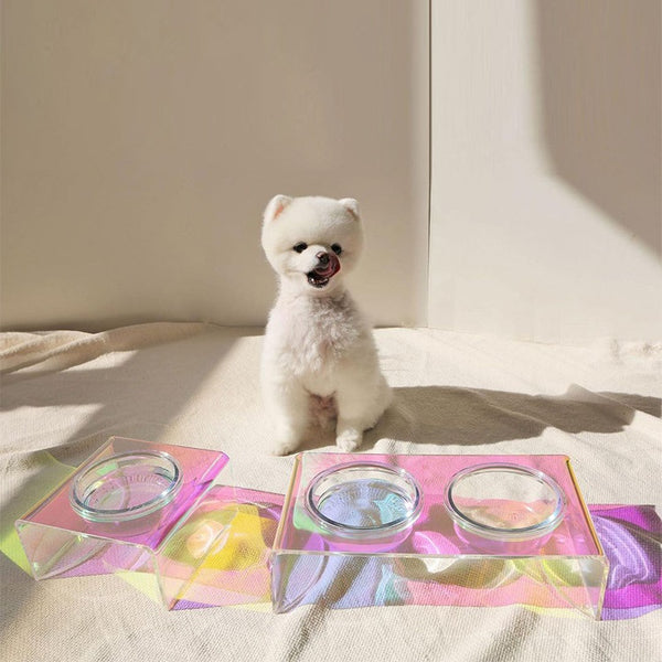Acrylic Pet Dazzling Bowl Food Basin Small Dog - 0 - CJ