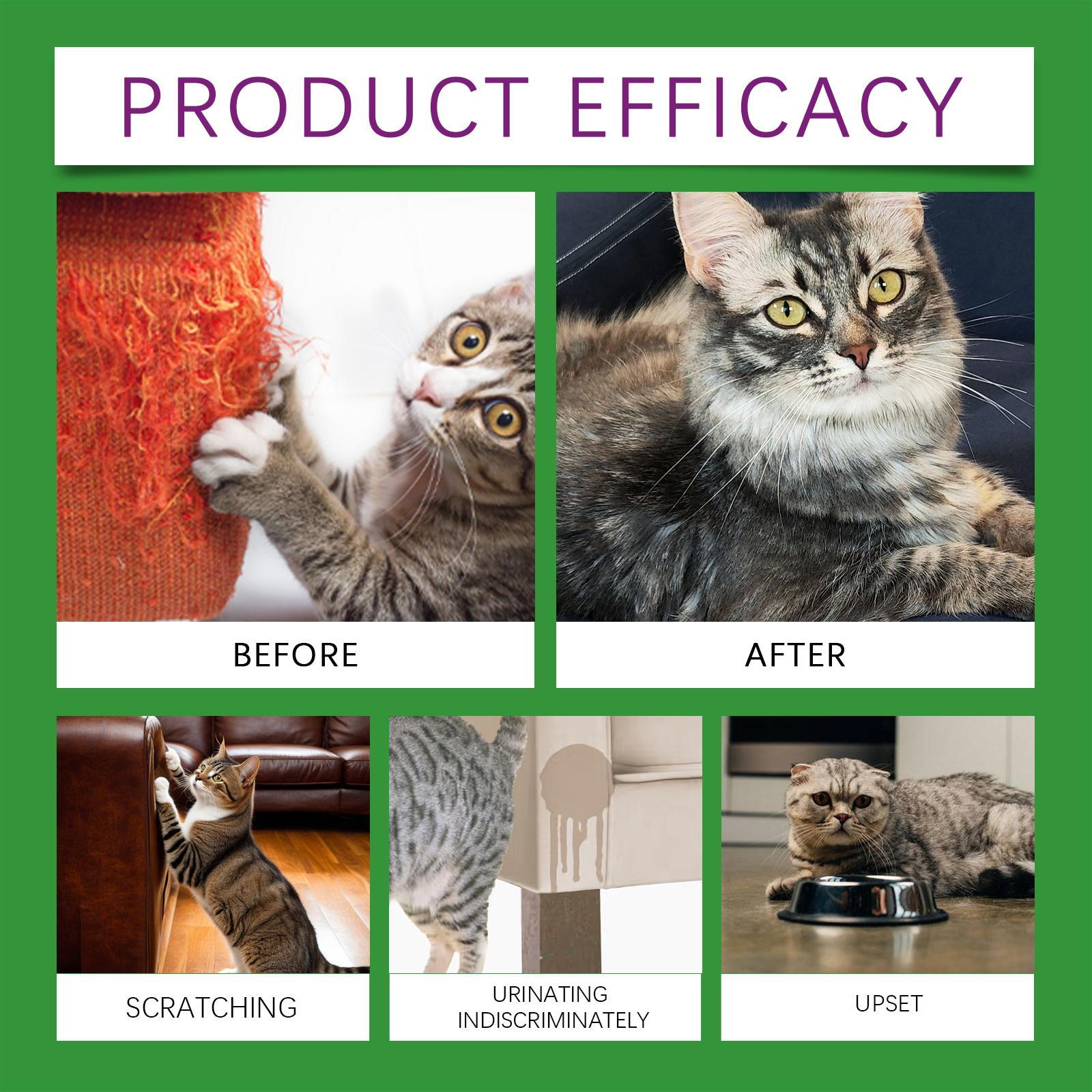Yegebang Cat Emotional Care Set Pet Cat Soothing Calm Estrus Irritability Mood Noise Reduction Care - 5 - CJ