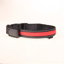 Solar LED Luminous Pet Dog Fashion Collar - 0 - CJ