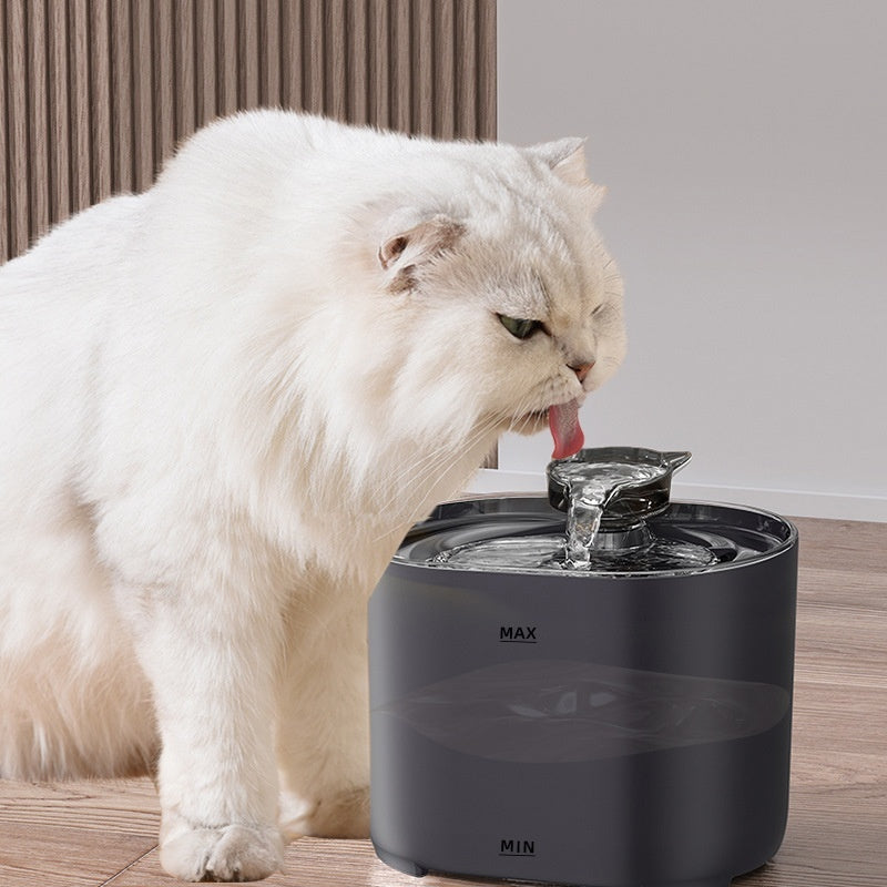 Cat Automatic Water Dispenser Circulation - 0 - CJ