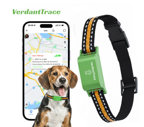 Pet Global Positioning Collar - 0 - CJ