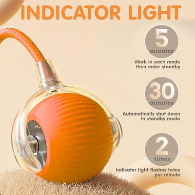Cat Interactive Ball Toys Automatic Rolling Ball For Kitten Rechargeable Smart Pet Electric Toys With Teaser Sensor Cat Ball Toy - 4 - CJ