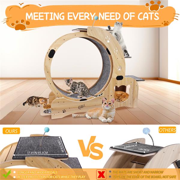 Cat Wheel 6 - in - 1 Cat Sports Wheel, Upgraded Indoor Cat Wheel Sports Device - 5 - CJ