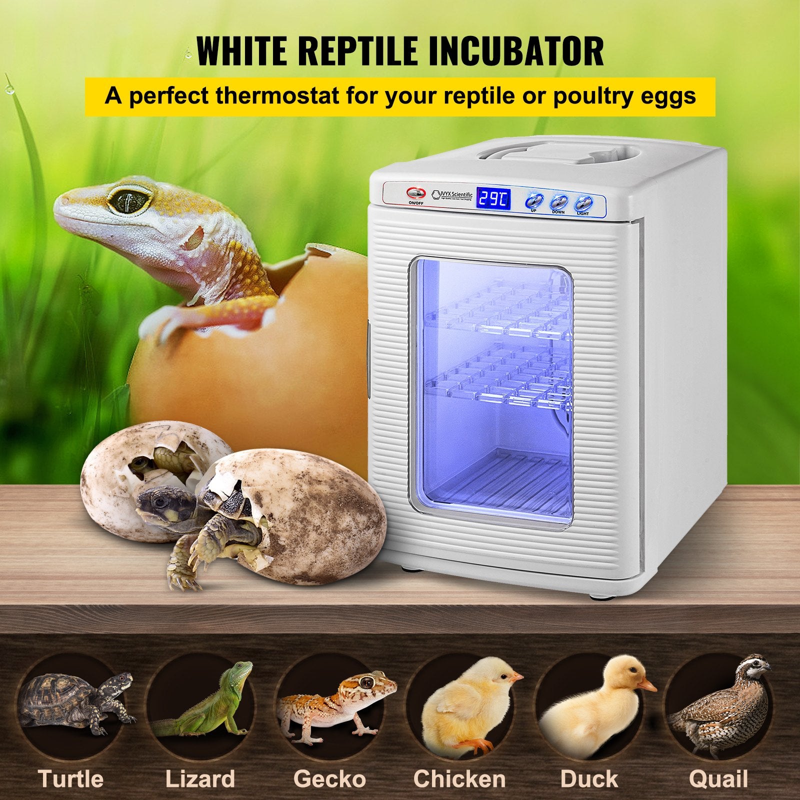 White Reptile Incubator 25L Scientific Lab Incubator Digital Incubator Cooling And Heating 5 - 42°C Reptile Egg Incubator 12V/110V Work For Small Reptiles - 5 - CJ