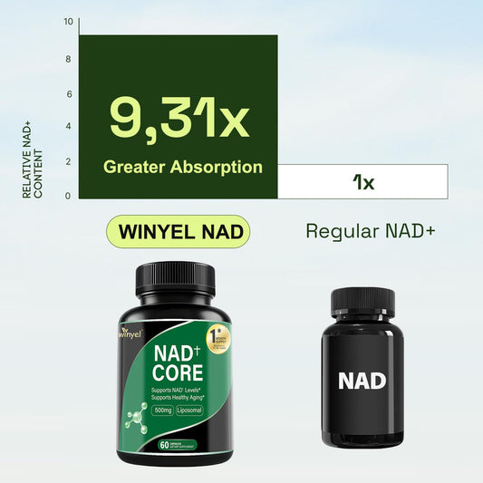 60 Capsules Of High - concentration Liposomal NAD Enhancer - Energy, Focus, And Healthy Aging, Containing Nicotinamide Riboside, Resveratrol, And Rutin - High - quality, High - purity Formula - 5 - CJ