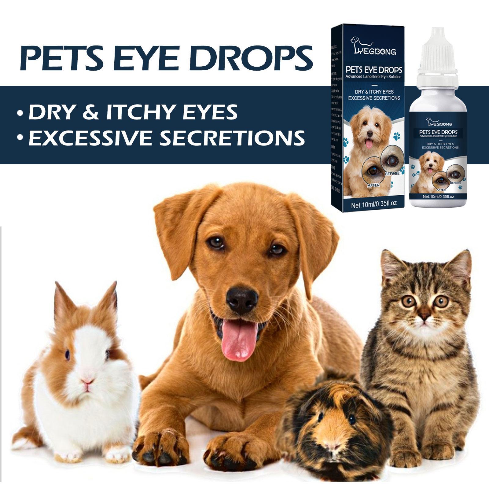 Igbang Pet Eye Drops For Cats And Dogs To Remove Tear Marks, Relieve Itchy Eyes And Clean - 5 - CJ