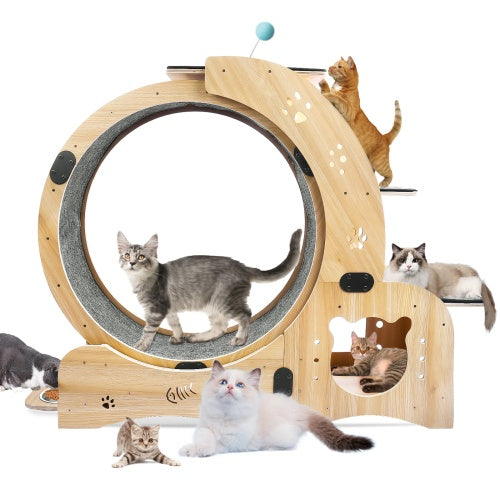 Cat Wheel 6 - in - 1 Cat Fitness Wheel - 5 - CJ