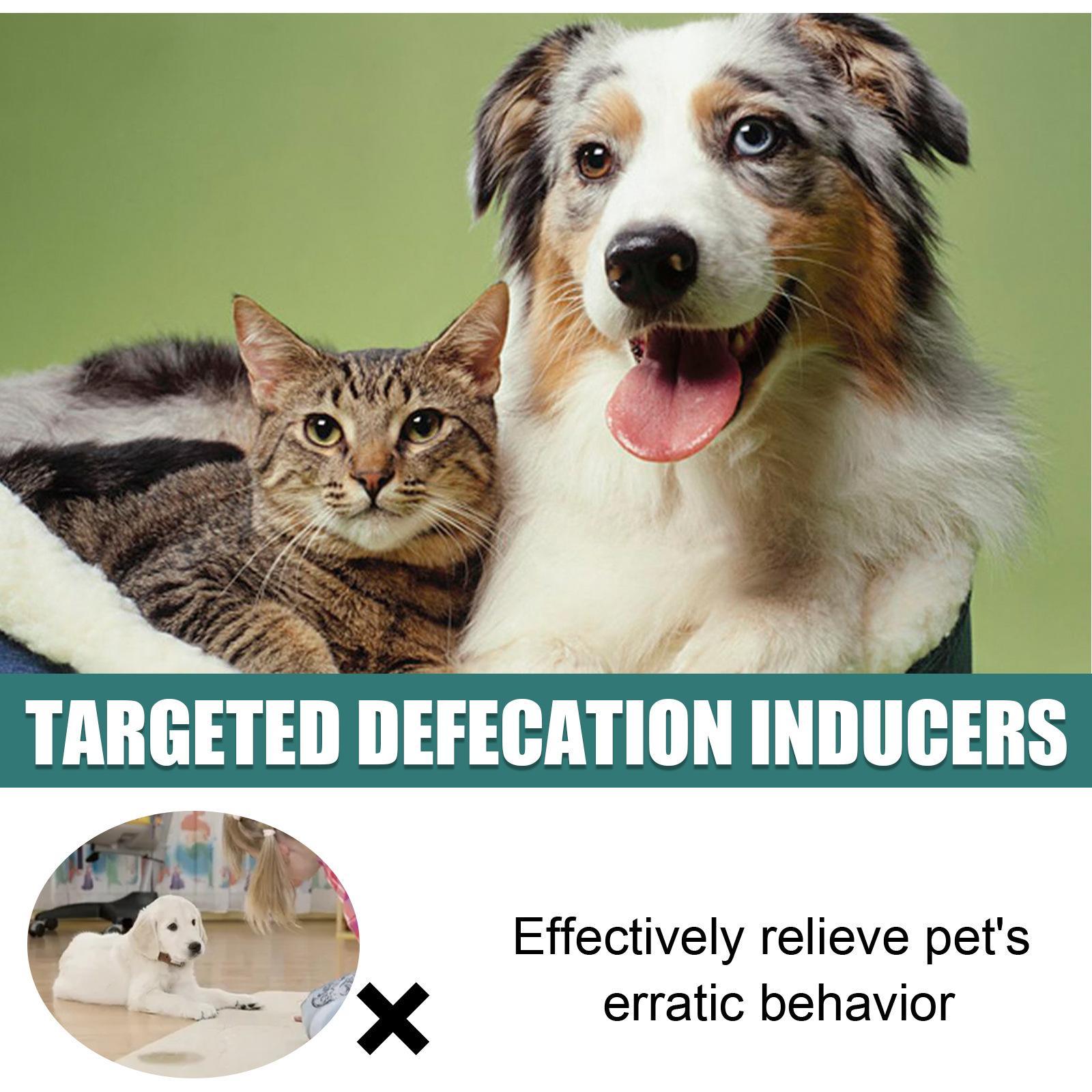Yibang Pet Positioning Defecation Inducer Pet Toilet Inducer Urine Locator Toilet Training Agent - 5 - CJ