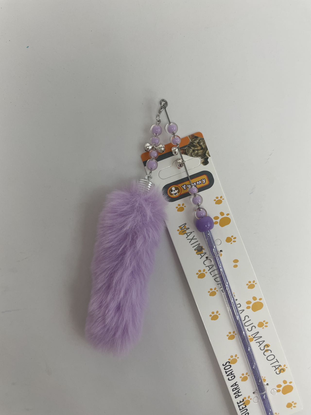 Cat Teasers - 5 - CJ