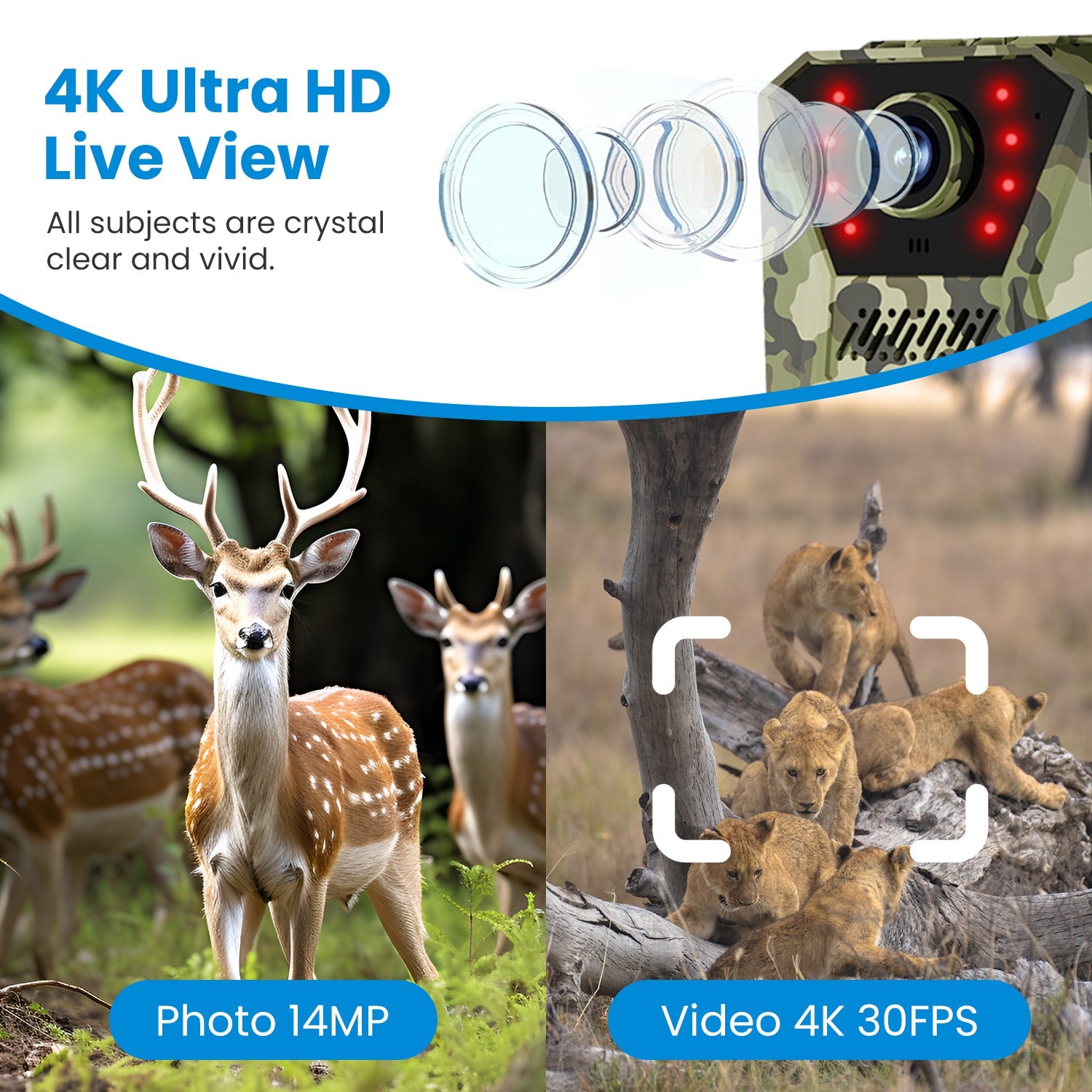 1Pc 4G 4K 30FPS Solar Trail Camera Outdoor Wildlife Camera Motion Activated IP66 Waterproof With 140 Degree Viewing Angle No Glow Night Vision SIM Card APP Control No WiFi Needed - 5 - CJ