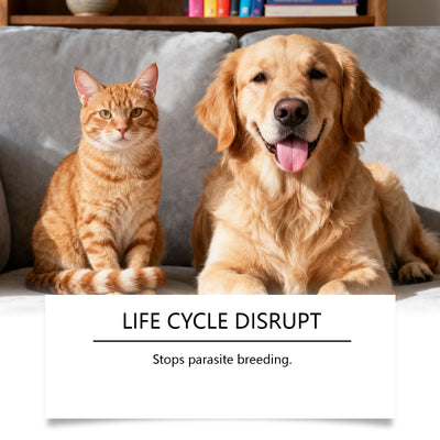 Flea And Tick Prevention Support Drops For Dogs And Cats - 0 - CJ