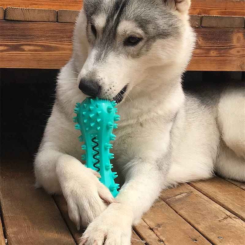 Pet Dog Cleaning Chew Toys For Aggressive Dogs Rubber Molar - 5 - CJ