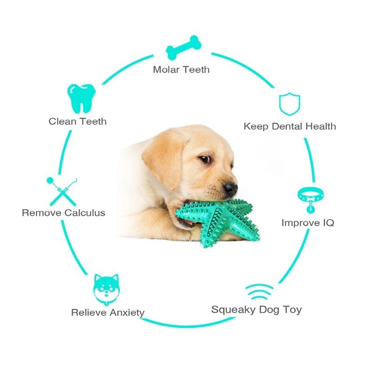 Dog Toys For Large Dogs Tooth Cleaning Chew Funny Interactive Training Starfish Toy Accessories Squeaky Toys TPR Toys - 5 - CJ